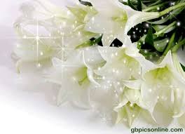 Blumen gif schöne blumen flowerpower gif bilder arten von blumen wunderschöne geschenke blumengestecke garten animation. á… Blumen Bilder Blumen Gb Pics Gbpicsonline