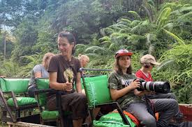 Translating to 'national park malaysia', this 4343 square kilometre nature reserve combines rainforests, wildlife, canopy walks, caves and west malaysia's tallest peak but kl forest eco park, or bukit nanas forest reserve, provides a small section of jungle in the heart of the busy capital. Deramakot Forest Reserve Malaysia Reisen Informationsportal