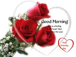 Tagged Beautiful Red Roses Images Red Roses Wallpaper Rose Flower Wallpaper