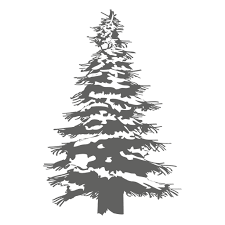 Pine Tree Silhouette 1 Transparent Png Svg Vector File