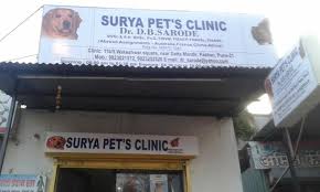 Emancipet is on a mission to make veterinary care affordable and accessible for everyone. Vet Care Pet Clinic Deccan Gymkhana Pet Clinics In Pune Justdial