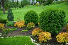Services provides advice and advice on which plants to buy and how to care for them. Landscaping Landscaping Companies Near Me Columbia Md