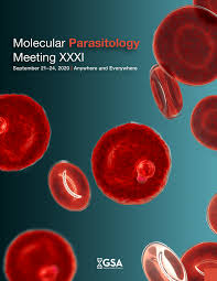 Natália toscano, mulher do sertanejo, postou no instagram que o filho do cantor se assustou com o novo visual do pai. Pdf Knowledge Attitude And Practices Of Echinococcus Granulosis In Different Slaughter House Worker Of Punjab Pakistan