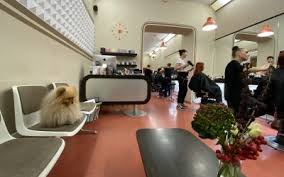 Shop online now for beauty, hair styling, moisturisers, oils and many more products ein friseur (auch frisör; Kosmetik Wellness Massage Gutschein Berlin B Card