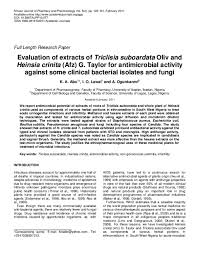 Image result for Heinsia