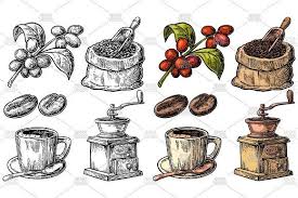 Sack Coffee Beans Scoop Coffee Beans Coffee Illustration Engraving Illustration