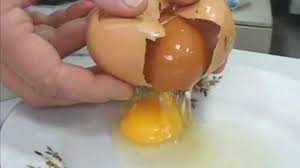 Gambar dah lama sebulan yang lalu. Viral Fenomena Ada Telur Dalam Telur Bolehkah Dikonsumsi Era Id