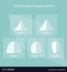 five different types of population pyramids charts