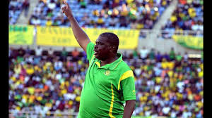 Image result for lwandamina