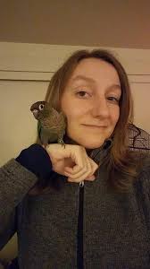 I gave pineapple some cat toys, he seems to enjoy the blue one the most!  Does anyone know any other good toys for conures?