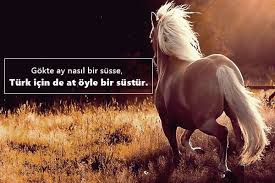At Ile Ilgili Sozler Atlar Vahsi Atlar At Sevgisi