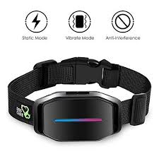 Dog Bark Collar Effective Bark Collar For Dogs Sound Vibration Automatic 7 Levels Shock Modes Training Co Bark Collars For Dogs Dog Shock Collar Dog Sounds