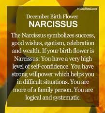What Is The December Birth Flower Find Out More About The December Flower Narcissus And Its Meaning Birth Flowers December Birth Flower Birth Month Flowers