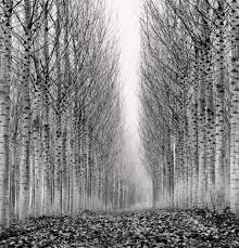 Last Picture Show Black And White Landscape Artistic Photography Black And White Photography