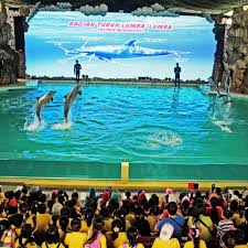 Menikmati Suasana Asri Ditengah Hiruk Pikuk Jakarta Menjadi Mudah Dengan Hadirnya Ocen Ecopark Ancol Hijaunya Pepohonan Dan Tempat Yang S Kepulauan Kota Hijau