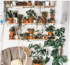 Although there are many baskets that are perfect for hanging plants, the rules o. Aesthetic Explorations Indoor Plants Aesthetics Of Design