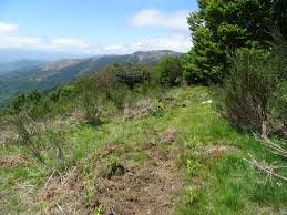 Gebirgspass in frankreich (de) mur de peguere (en); Cap Du Carmil Depuis La Cabane Du Col De Peguere Fleurs Paysages Des Pyrenees
