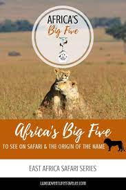 Spotting Africa S Big Five Africa Travel African Travel Africa Travel Guide