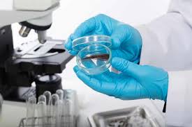Maybe you would like to learn more about one of these? Will Kratom Show Up On A Drug Test Do This To Flush Your System Faster
