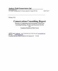 Consultant Report Template 8 Templates Example Templates Example Report Template Templates Professional Templates