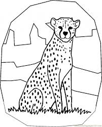 Free printable cheetah coloring pages and bright cheetah drawings to use in an assortment of creature themed specialties and learning exercises. Get This Free Printable Cheetah Coloring Pages 72xbp
