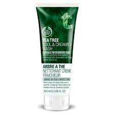 My face always feels super soft and clean after using it. The Body Shop Tea Tree Cool And Creamy Wash Reviews Photos Ingredients Makeupalley