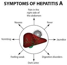 Pin On Liver Disease