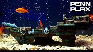 Shop all fish ornaments online. Penn Plax Shipwreck Aquarium Ornament Medium 15 5l X 6w X 5 5h In Rr1014 Youtube