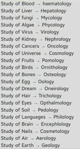 Pin By Ahkelia On Words Writing Words Learn English Words English Vocabulary Words