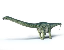 Apatosaurus Dinosaur Art Paleo Art Brontosaurus