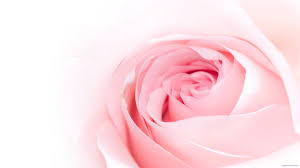 Support us by sharing the content, upvoting wallpapers on the page or sending your own background pictures. 47 Cute 2048 By 1152 Wallpaper On Wallpapersafari
