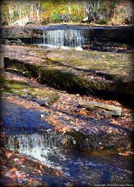Maybe you would like to learn more about one of these? Stepstone Falls Trails Walks In Rhode Island