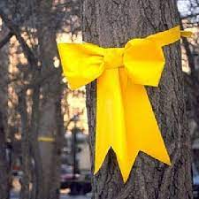 Liston Amarillo La Venganza Del Ornitorrinco