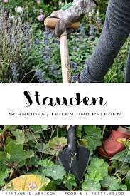 Pin Auf Garten Gierthmuhlenweg