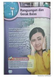 Buku Teks Sains Tingkatan 3 Pages 301 307 Text Version Anyflip