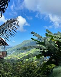 Mai La Vang (@maila.vang_) • Instagram photos and videos