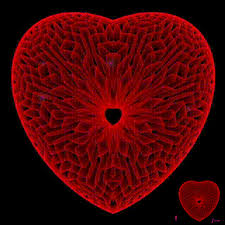 Https Encrypted Tbn0 Gstatic Com Images Q Tbn 3aand9gcqivdnygnm2sakzyihbc08qwv93wzefd5sk G Usqp Cau