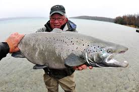 Muskegon River Steelhead Guide Service For Muskegon