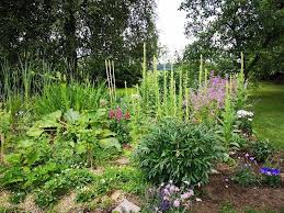 Hier möchten wir unser gartenwissen und unsere langjährige erfahrung mit euch teilen. Ein Tierfreundlicher Garten Tipps Zum Gestalten Wildes Gartenherz
