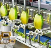 Aluminum Complex Greases | JAX INC.