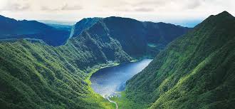 نتیجه جستجوی لغت [reunion] در گوگل