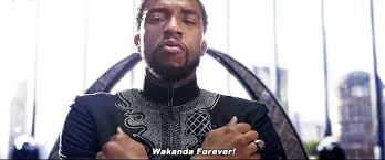 Wakanda Forever Black Panther Marvel Black Panther Forever Gif