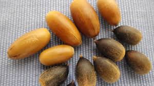 大牟田市の耳鼻咽喉科立石医院