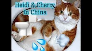 Maybe you would like to learn more about one of these? Cory S Heidi Cherry Meditations Youtube