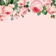 Design by 123 free vectors. Free Vector Hand Drawn Pink Roses Frame On Pastel Pink Background Vector