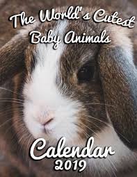 What animal kills the most people? The World S Cutest Baby Animals Desk Calendar 2020 14 Month Desk Calendar Featuring The Youngest Members Of The Animal Kingdom