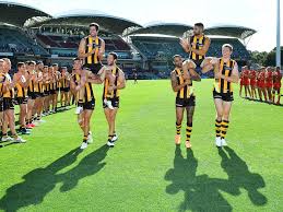 Buy all your official hawks merchandise direct from the hawthorn football club. Hawthorn Hawthorn Hawks Afl Team The Advertiser