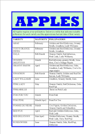 Apple Varieties Maturity Pollination Chart