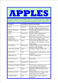 apple varieties maturity pollination chart