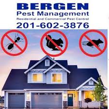 Leading home and commercial termite and pest control in st. Capitol Exterminating System Pest Control Service Old Bridge New Jersey 154 Photos Facebook